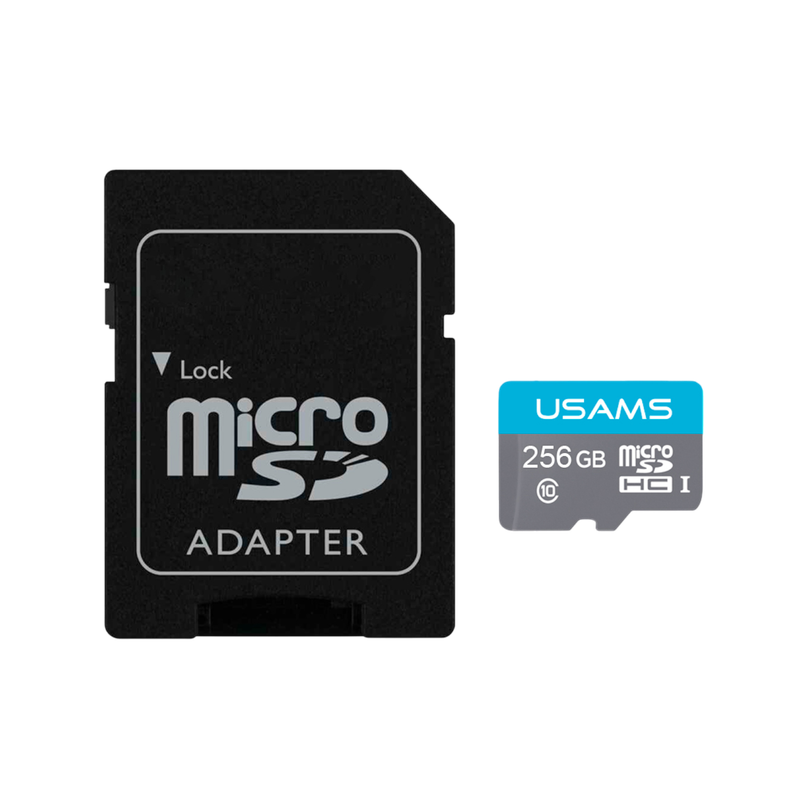 CARTE SD 256GB