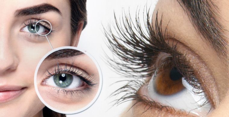 Fernstudium Lash und Brow Lifting
