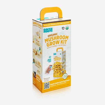 Organic Golden Oyster Mushroom Grow Kit