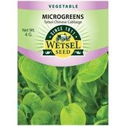 Wetsel Seed Microgreens Chinese Tatsoi Cabbage Seed - 4g Packet