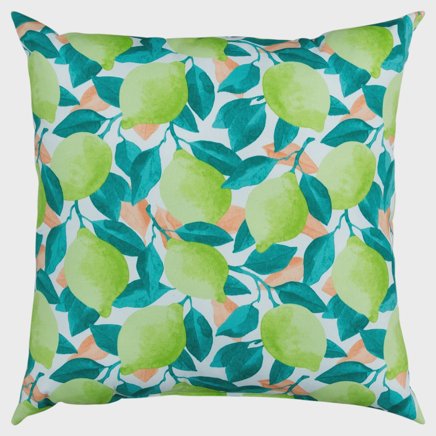 Rizzy Home Indoor/Outdoor Decorative Pillow, Green Printed Lime Pattern
