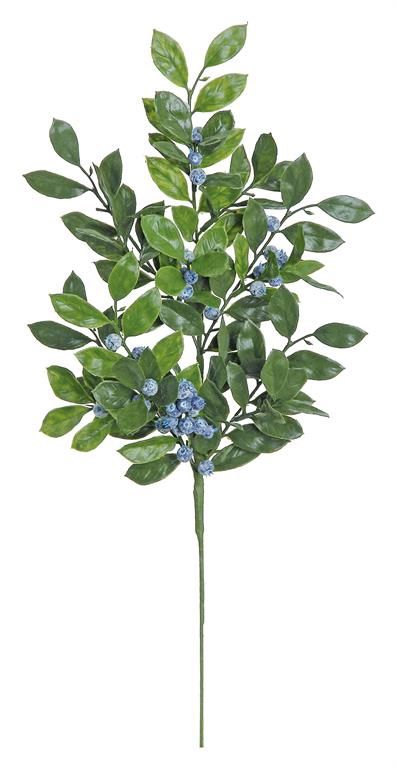 Blueberry Foliage 22&quot; Blue/Green