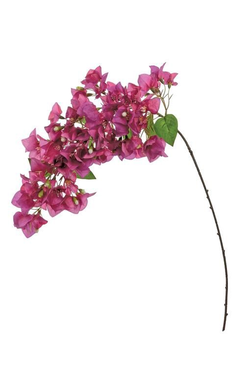 Bougainvillea Vine, 40", Cerise
