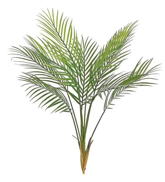Areca Palm Plant Green 42"