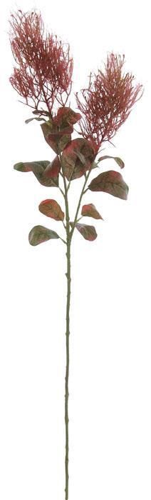 Cotic Spray 28" Stem, Burgundy