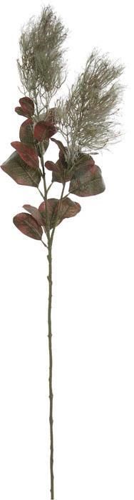 Cotic Spray 28&quot; Stem Plum