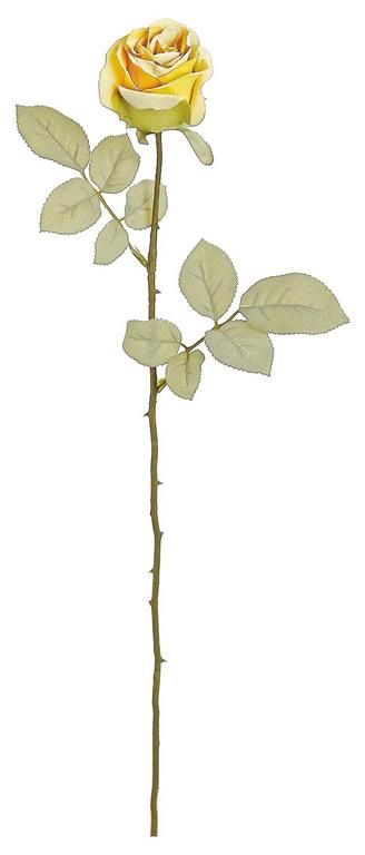 Dried Closed Rose Stem 2.75" Gold