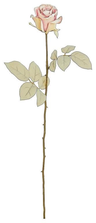 Dried Closed Rose Stem, Pink