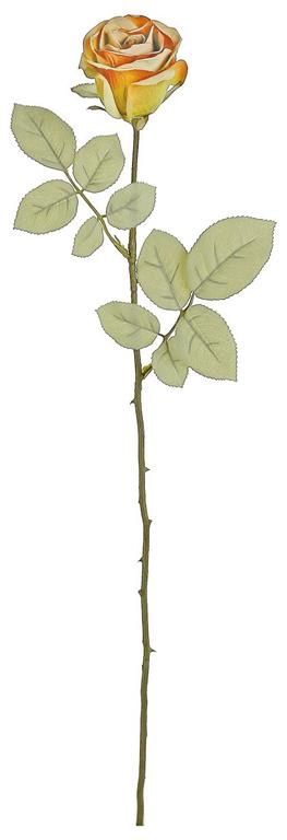 Dried Closed Rose Stem Orange
