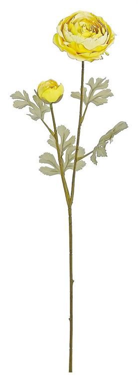 Dried Ranunculus Stem, Yellow