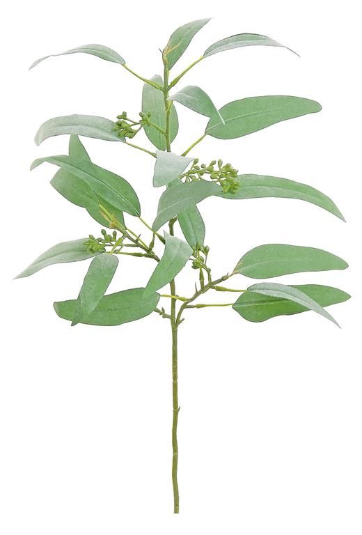 Eucalyptus &amp; Seed 22" Branch, Sage