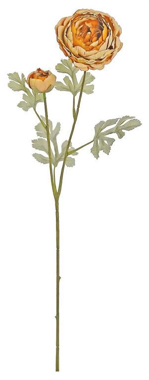 Dried Ranunculus 3.25" Stem, Orange