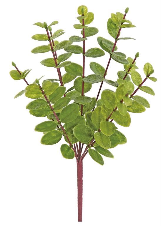Eucalyptus Branch 17&quot; Green