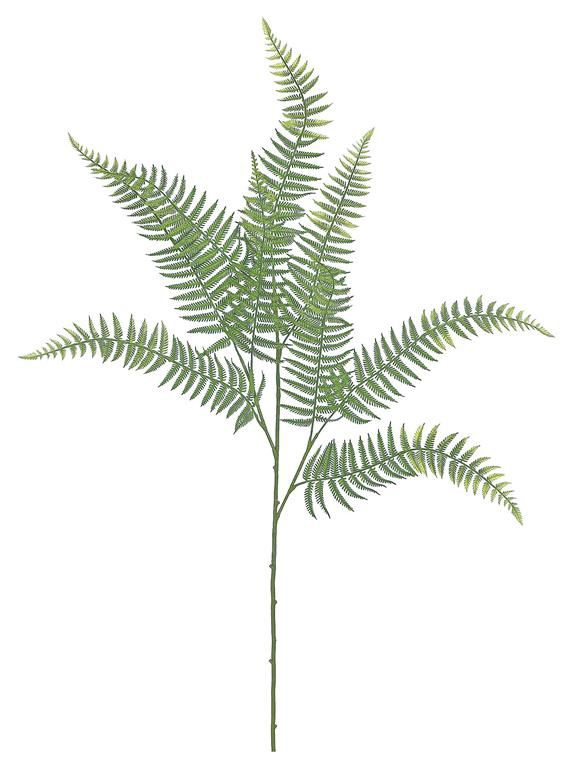 Fern Leaf Bundle, 26"