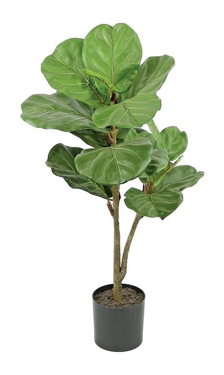 Fiddle Leaf In Pot 42&quot; Green