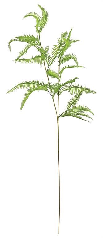 Fishbone Fern Branch, 38", Green