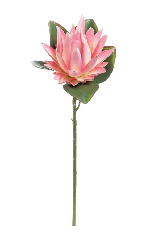 Protea 22" Stem, Pink &amp; Yellow