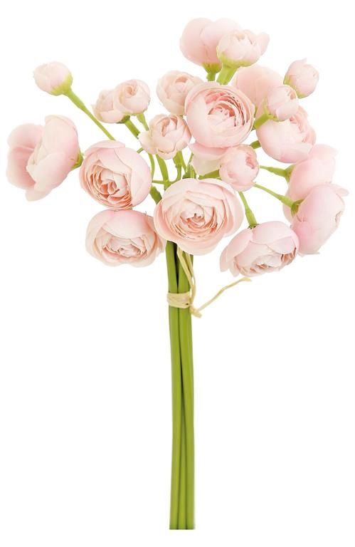 Ranunculus Bloom Bundle, Pastel Pink