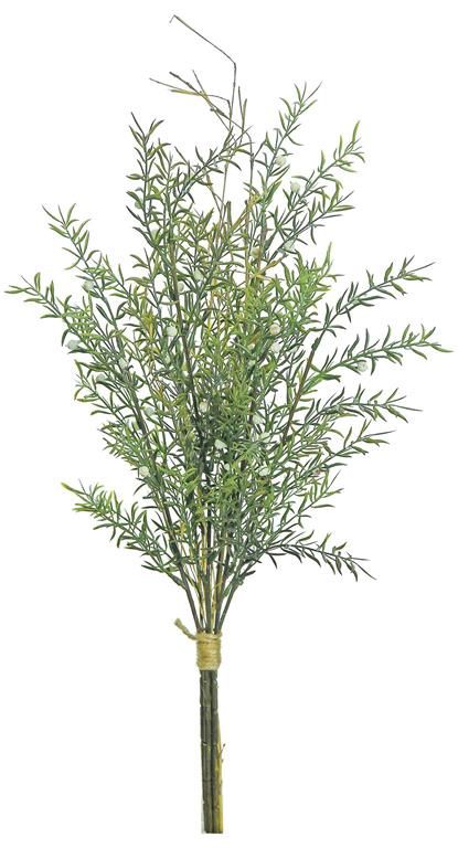 Rosemary Twig  Bundle 21"