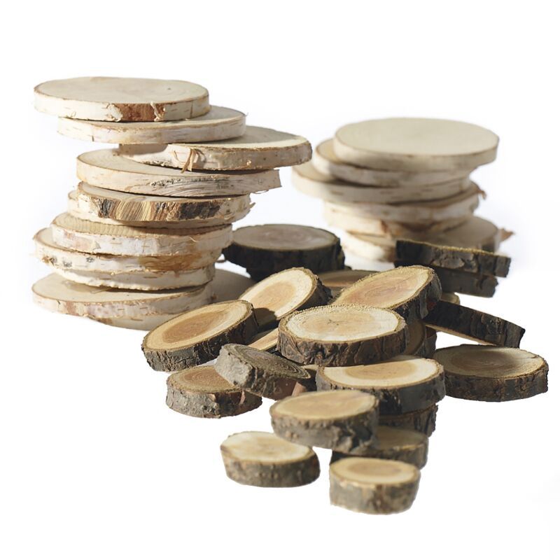Birch and Wood Slices 10 pc
