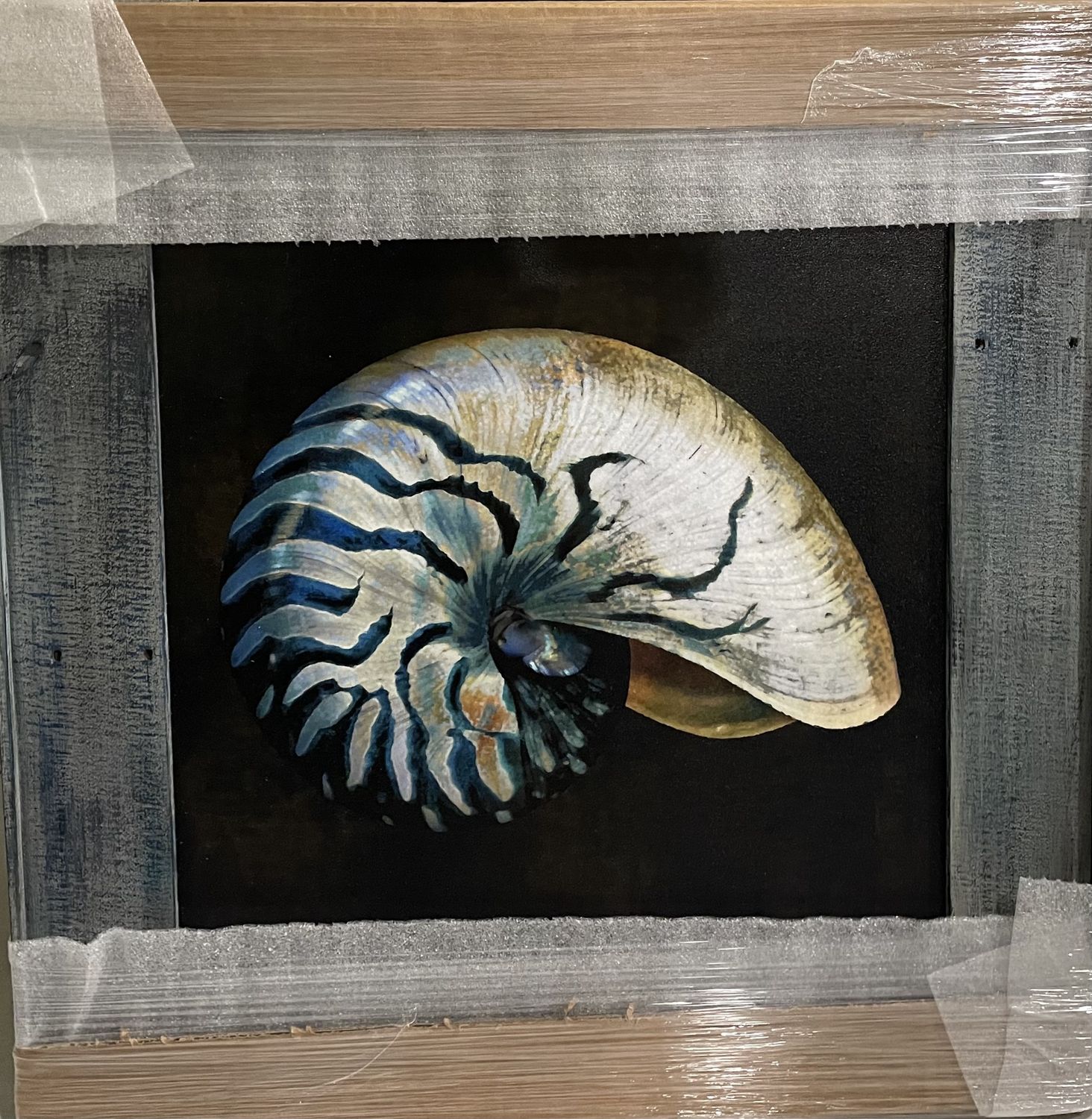 Dockwood frame 20 x 20 &quot;Ocean Treasures&quot;