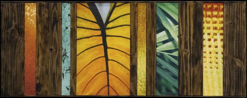 Dockwood panels 24 x 60 &quot;Rainforest Zen&quot; Studio EL