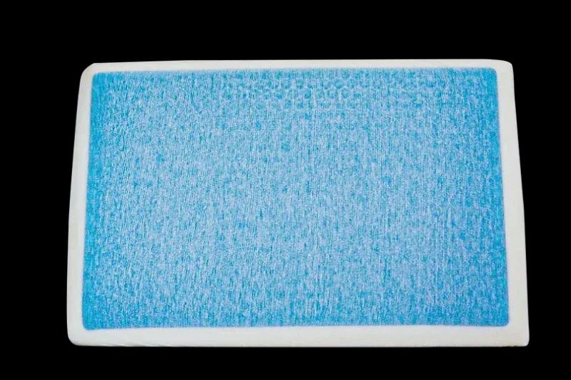 Cool Gel Pillow