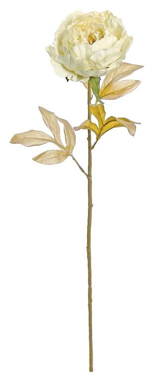 Shimmer Peony 25" Single Flower, Pearl/Cream