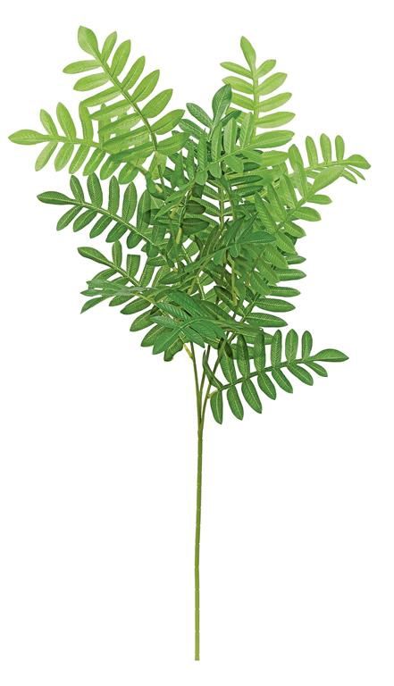 Royal Fern Spray 29.9&quot; Green