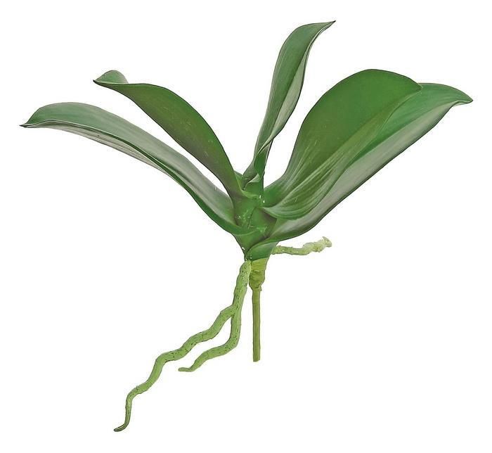 Small Orchid Leaf X5 /9.5" Green