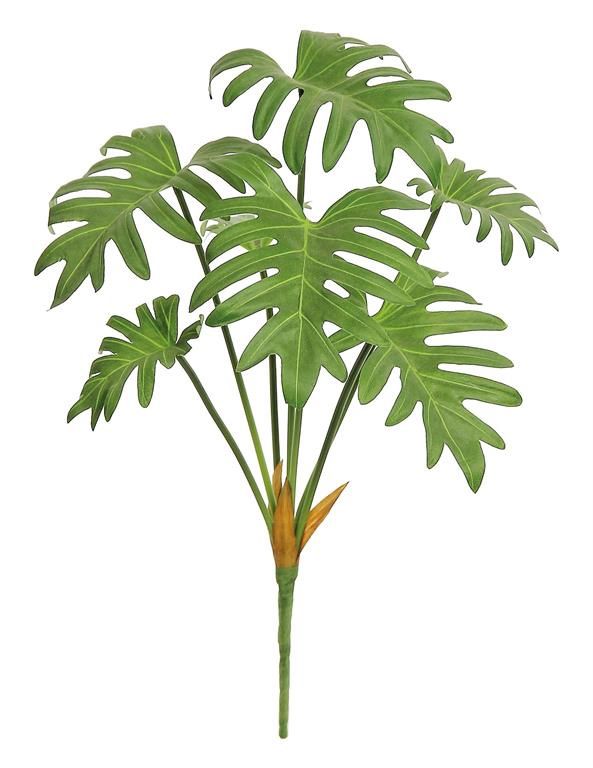 Selloum Philo Plant 22" Green