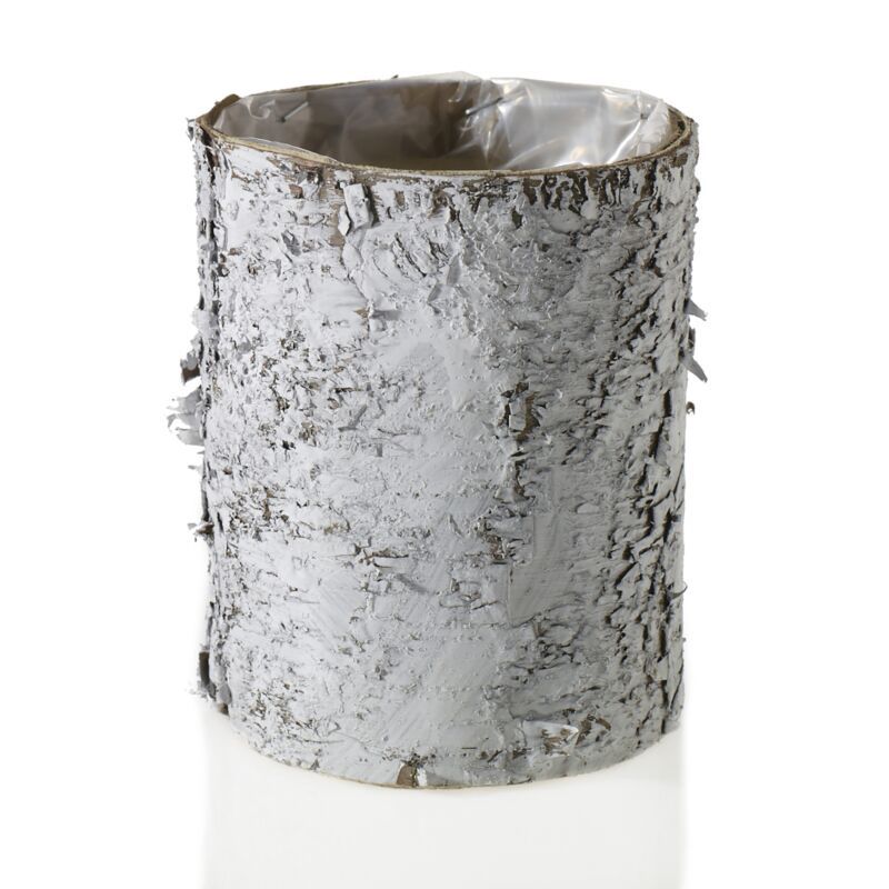 White Birch Cylinder 4.75x6&quot;