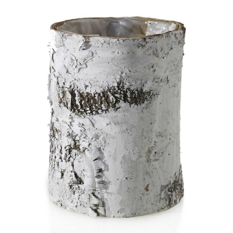 White Birch Cylinder 6x8&quot;