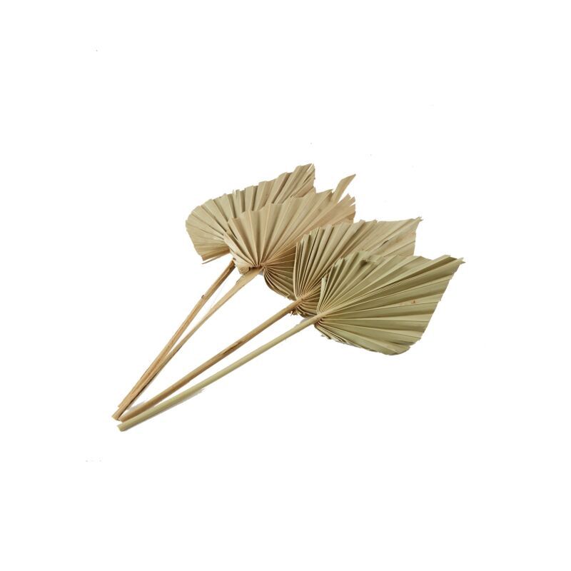 Dried Palmspear 15&quot;