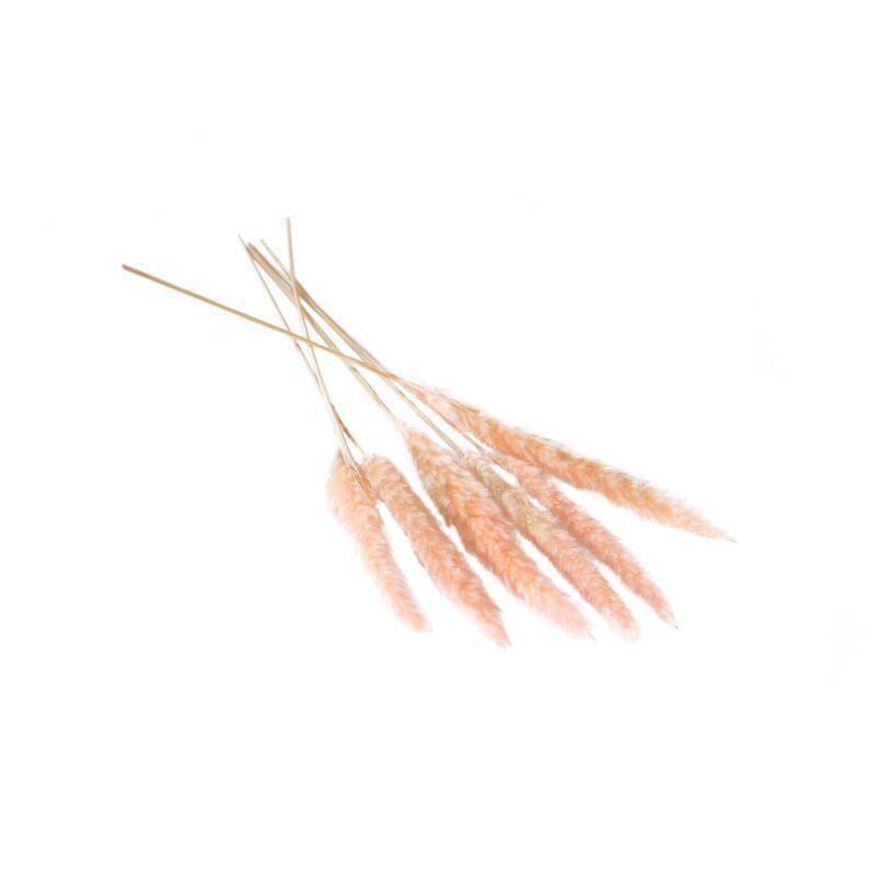 Slim Dried Pampas Grass, Pink 25.5&quot;