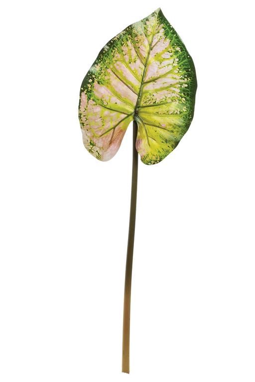 Wild Caladium Leaf 36.5&quot; Grn/Mau