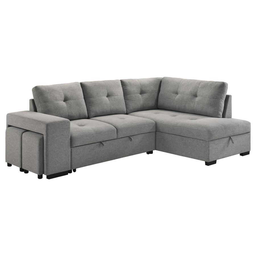 Roanne Sleeper Sectional Sofa Grey