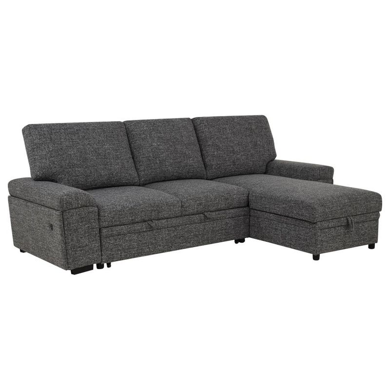 Demko Sleeper Sectional Sofa with Speaker and Storage Chaise, Granite
