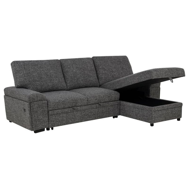 Demko Sleeper Sectional Sofa with Speaker and Storage Chaise, Granite