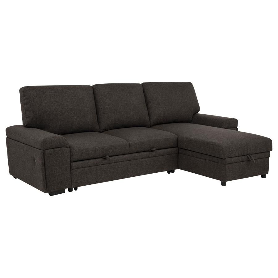 Demko Sleeper Sectional Sofa with Speaker and Storage Chaise, Brown