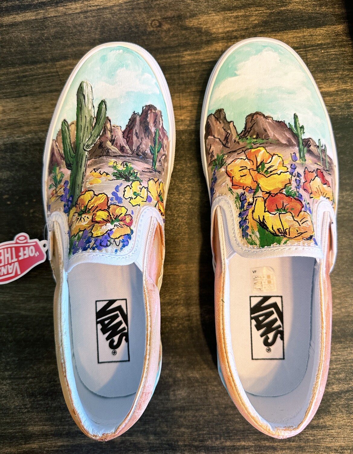 Desert Poppies Hand-Painted Shoes