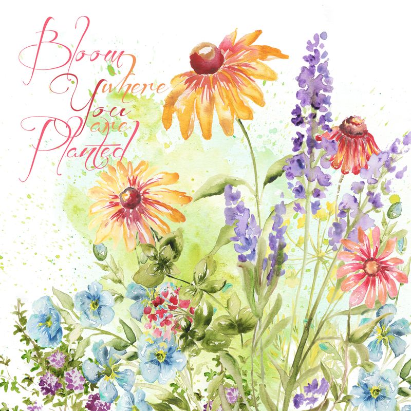 Herb Blossoms Meadow- Bloom Where You are Planted