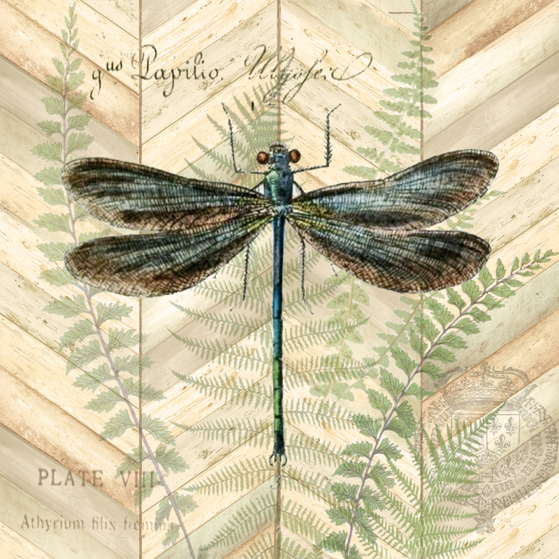 Chevron Nature Square Dragonfly 3