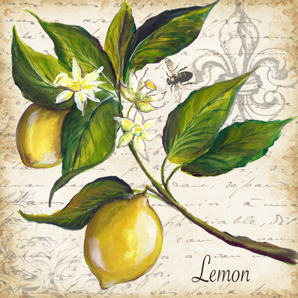 &quot;Lemon Deco&quot; Printed Accent Tile