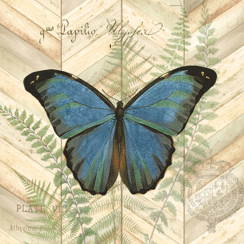 Chevron Nature Square Butterfly I