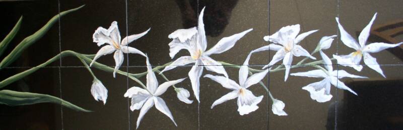 Asian Contemporary Orchids