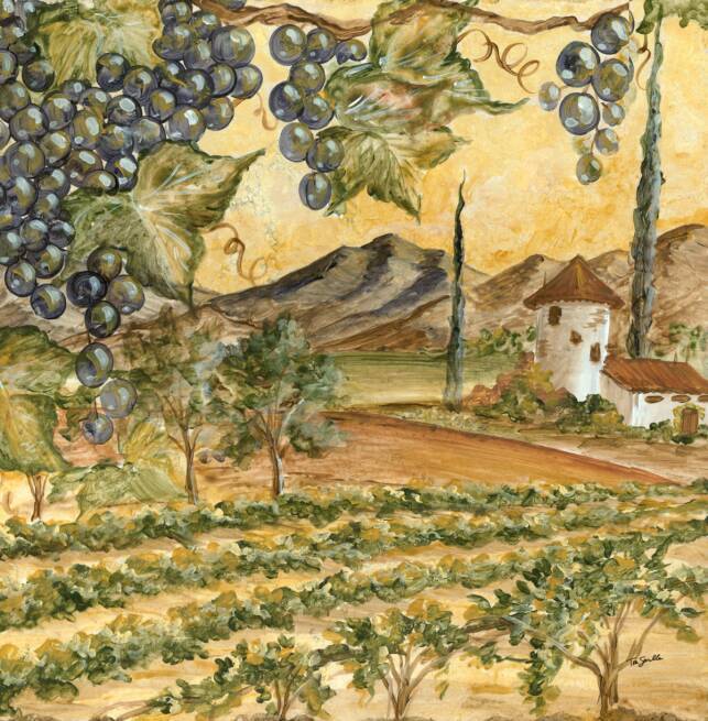 &quot;Riserva Vineyard&quot; Printed Accent Tile