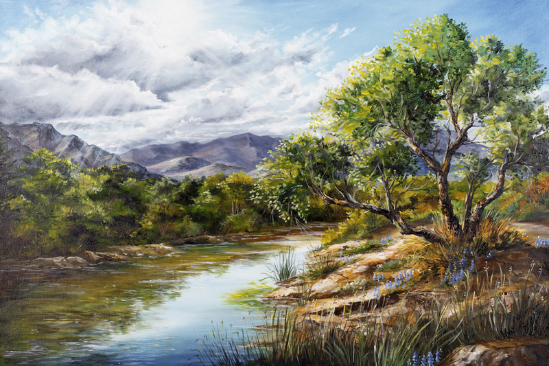 Verde River Reflections Landscape
