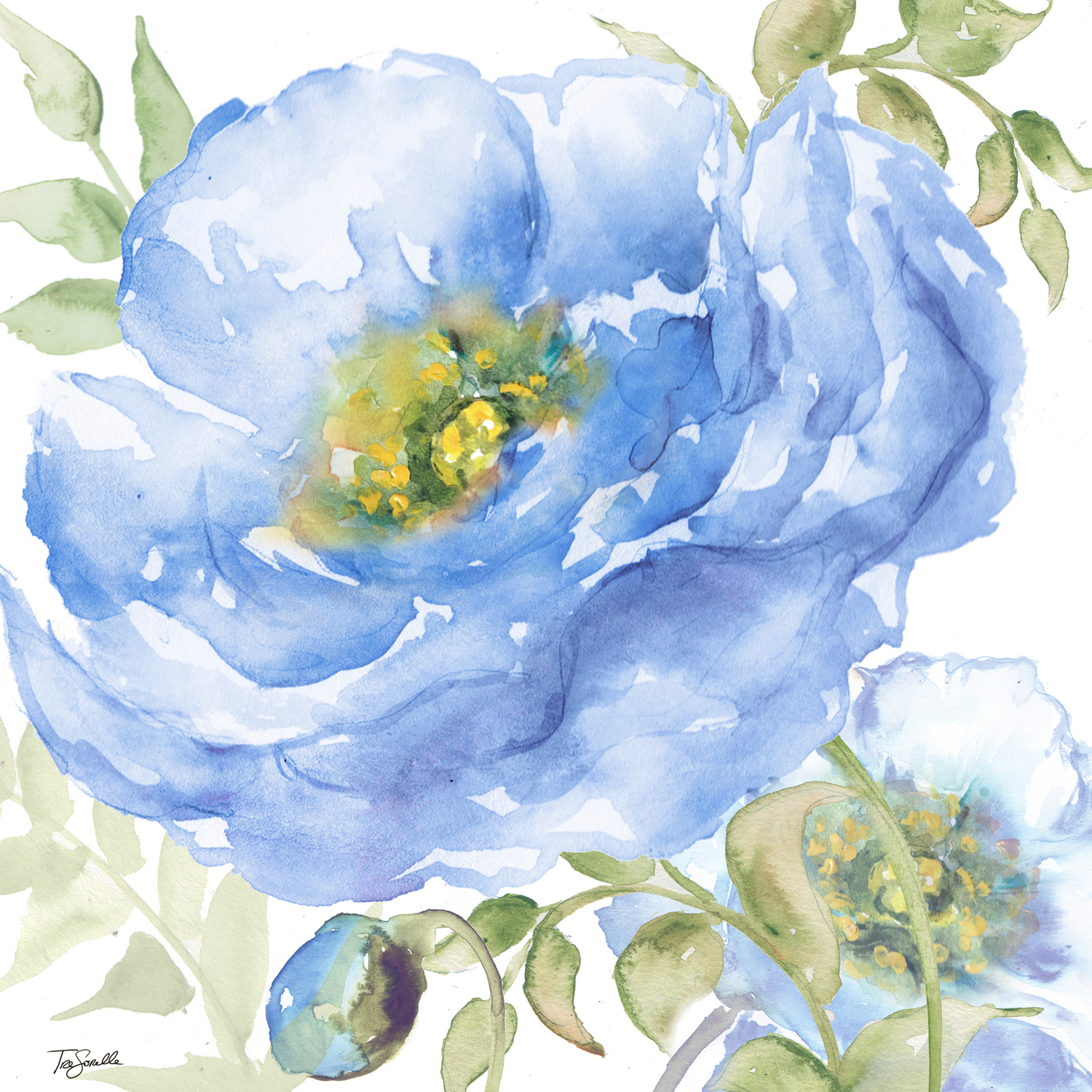 Saphire Bloom 1