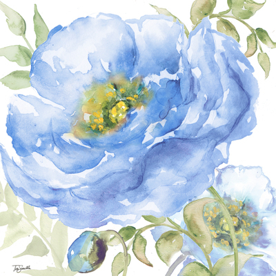 Saphire Bloom 1 Saphire Bloom 1